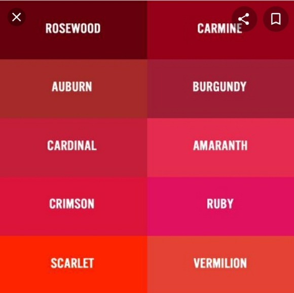 Worthington jacket - Picture 5 of 5